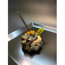Чорний профітроль з мусом із лосося 